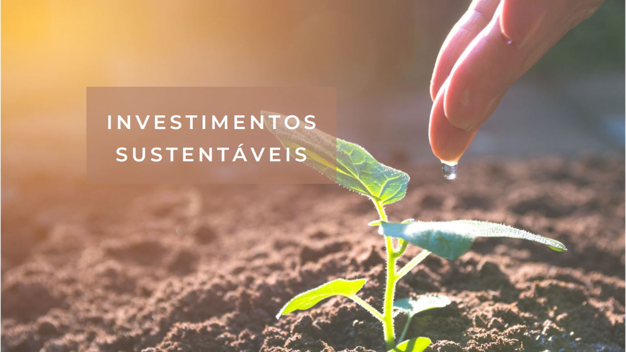 Investimentos ESG no Brasil: Como Adotar Finanças Sustentáveis e Proteger Seu Futuro