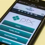 O Futuro das Fintechs Brasileiras Pós-Regulação do PIX e Pix Cobrança