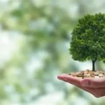 Economia de Baixo Carbono: Oportunidades de Investimentos Sustentáveis no Brasil