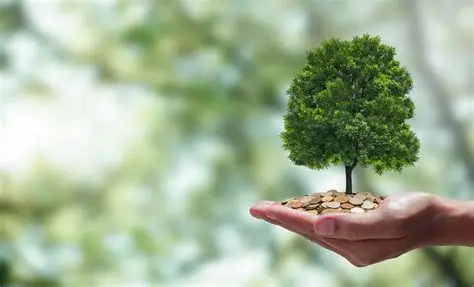 Economia de Baixo Carbono: Oportunidades de Investimentos Sustentáveis no Brasil