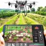A Nova Era do Agronegócio: Sustentabilidade e Tecnologia no Campo