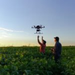 Cripto no Agronegócio: Blockchain Para Rastrear Alimentos Brasileiros