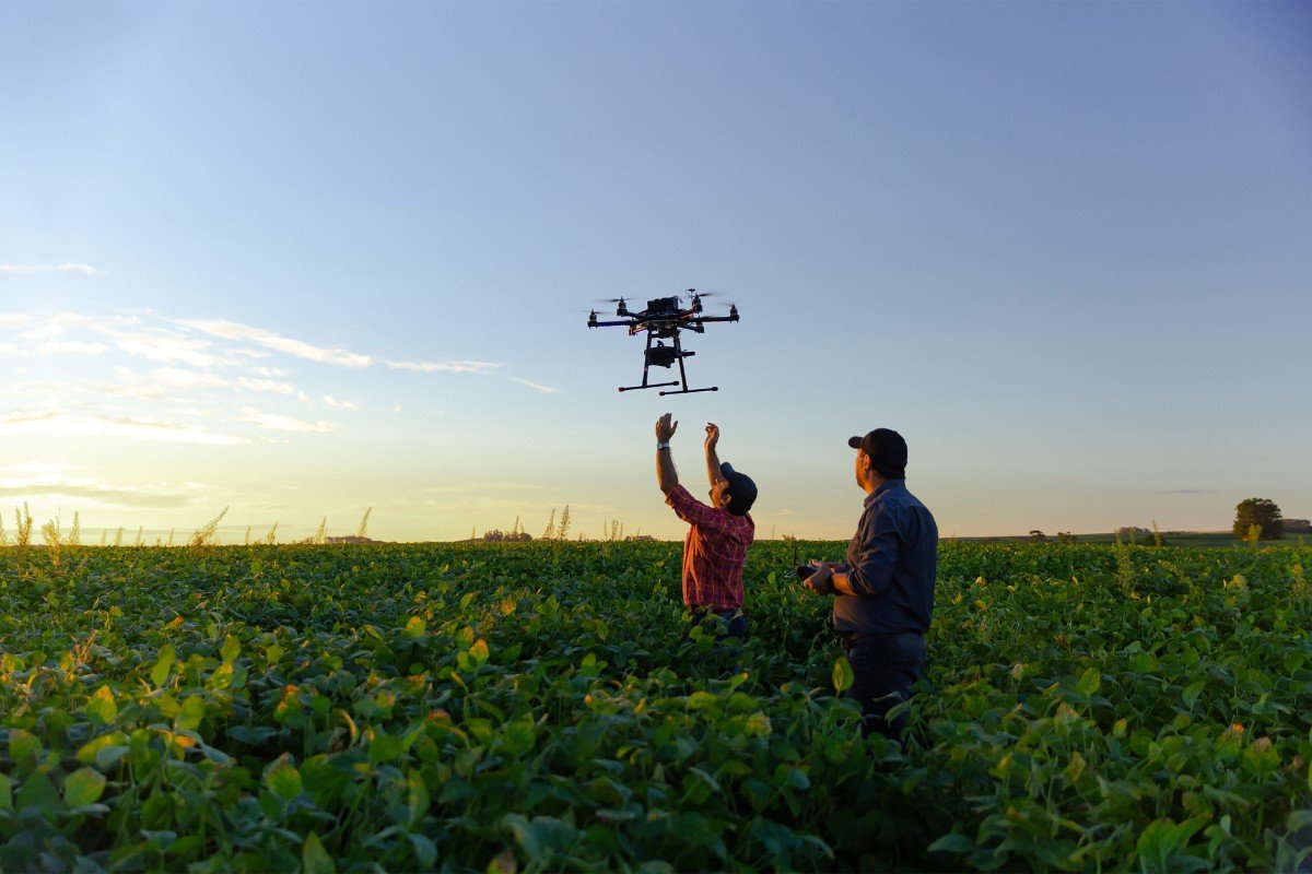 Cripto no Agronegócio: Blockchain Para Rastrear Alimentos Brasileiros