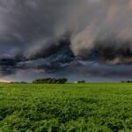 O Agronegócio Brasileiro em 2025: Entre Recordes e Desafios Climáticos