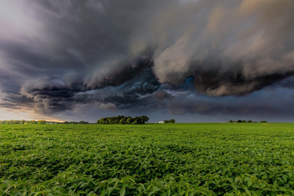 O Agronegócio Brasileiro em 2025: Entre Recordes e Desafios Climáticos